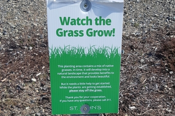 sign saying 'Watch the Grass Grow' indicating that grass  has been planted in the area